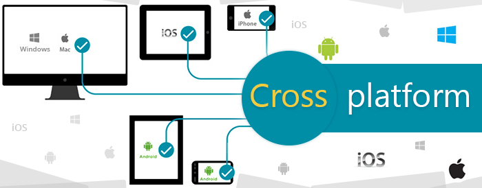 Cross Platform Mobile Development Services - Venture Aviator